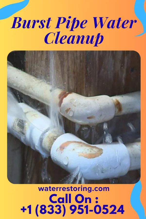 Burst Pipe Water Cleanup in Horse Creek, SD