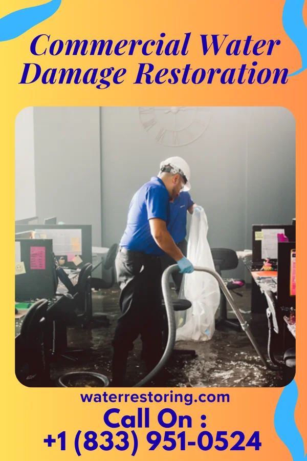 Commercial Water Damage Restoration in Horse Creek, SD