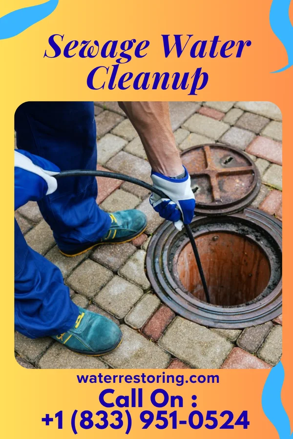 Sewage Water Cleanup in Horse Creek, SD